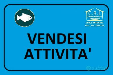 Attività di pescheria e alimentari