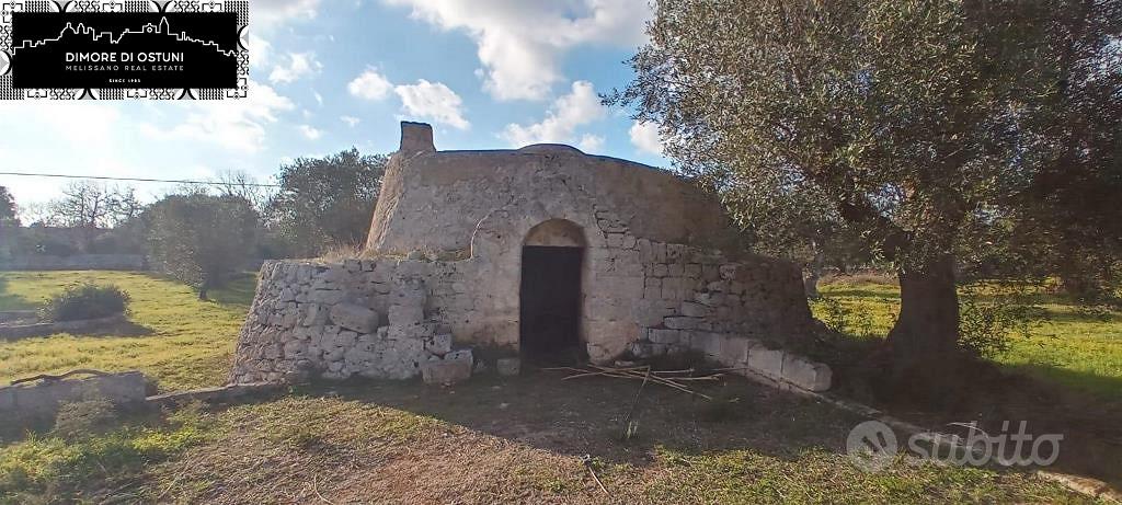 LAMIA DELL' ULIVO con TERRENO 7000mq - OSTUNI - Vista 4