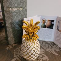 Ananas Sequenze 