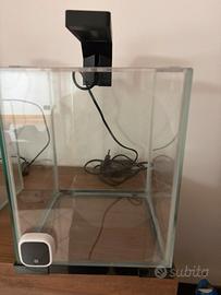 Acquario