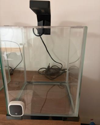 Acquario