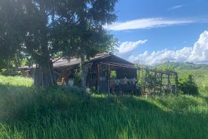 Sulle colline di Nizza Monferrato