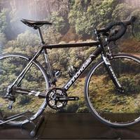 Cannondale Caad 8 taglia taglia 51 2016
