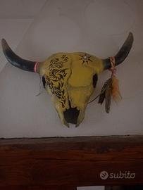 teschio di bovino