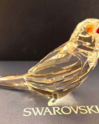 Swarovski SCS Bufaga Elegance of Africa