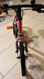Bici bambino cerchio 14