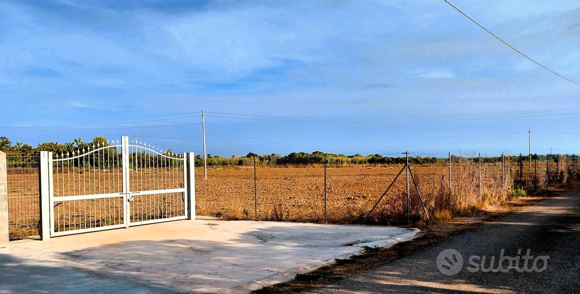 Terreno Agliadò 18300mq - Vista 4