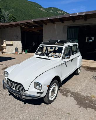 Citroen Dyane 6