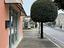 Immagine 9