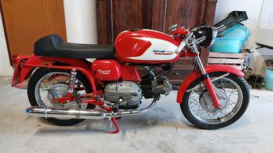 aermacchi ala verde 250