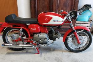 aermacchi ala verde 250