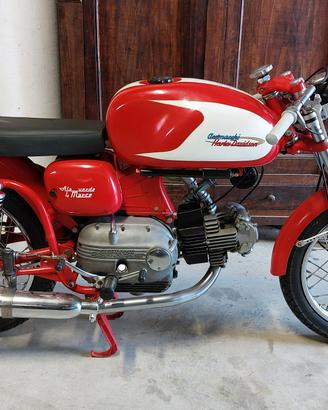 aermacchi ala verde 250