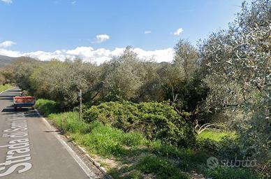 Terreno agricolo con 20/25 ulivi – Moricone