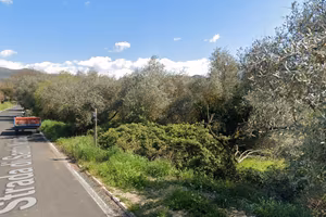 Terreno agricolo con 20/25 ulivi – Moricone