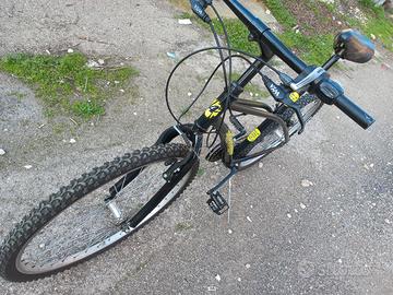 bicicletta atala uomo