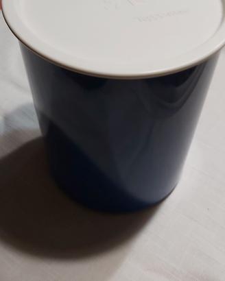 contenitore tupperware blu con tappo bianco 