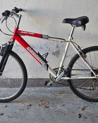 mountain bike