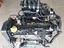 Immagine 7