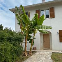 Casa singola vista mare con giardino