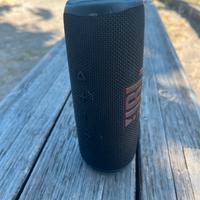 JBL flip 6
