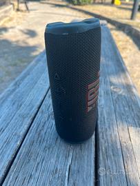JBL flip 6