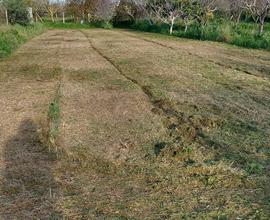 Terreno agricolo