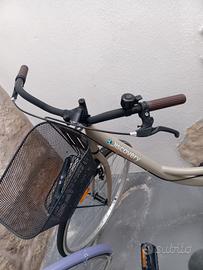 bici da passaggio 