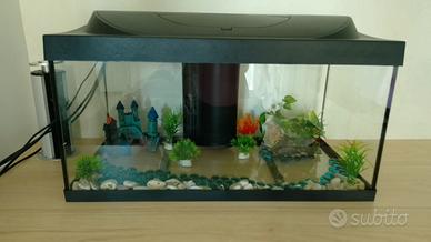 Acquario per pesci con filtro e riscaldatore
