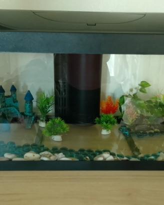 Acquario per pesci con filtro e riscaldatore