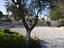 Immagine 12