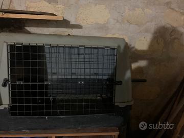 Trasportino per cane taglia grande
