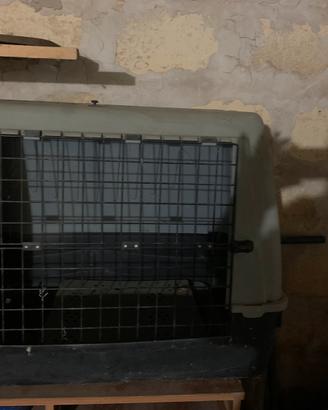 Trasportino per cane taglia grande