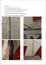 N.4 Lotti per vari tipi di pesche