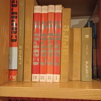 ENCICLOPEDIA "CAPIRE"