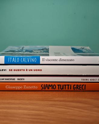 Set di 4 libri 