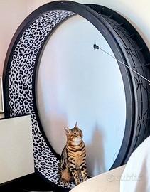 Ruota per gatto One fast cat 