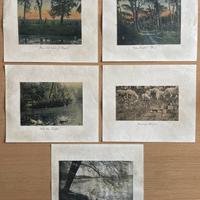 Stampe di Roma con stemma Reale Savoia