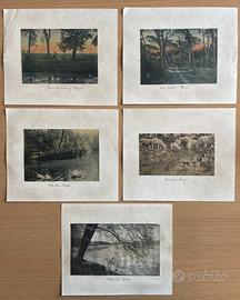 Stampe di Roma con stemma Reale Savoia