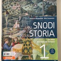 Gli snodi della storia 1