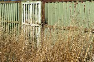 Zona Maccarese/Fiumicino