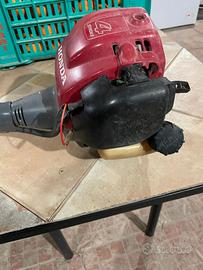 decespugliatore honda gx 25  taglia erba