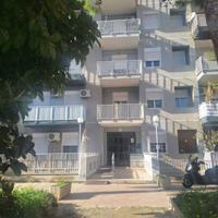 VENDITA NUDA PROPRIETA': Via Andrea Biondo, zona B