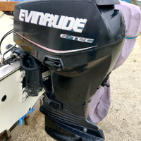 Evinrude etc 40 cv