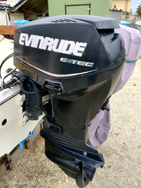 Evinrude etc 40 cv