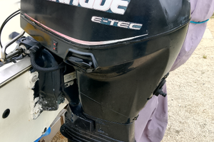 Evinrude etc 40 cv