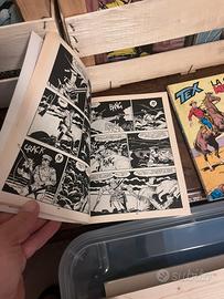 Collezione tex primi 300 numeri