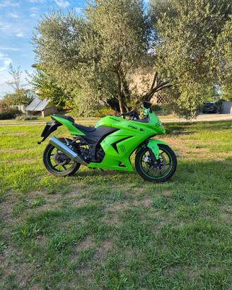 Kawasaki Ninja