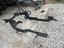 Immagine 5