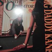 LOTTO 50 VINILI RAP HIP HOP RNB GZA BIG DADDY KANE