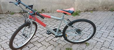 Mountain Bike, ruote 24